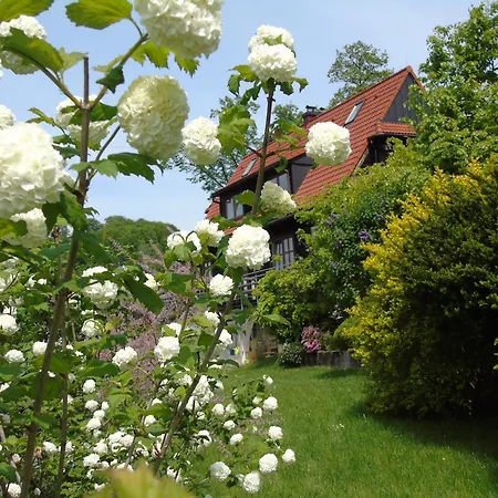 Villa-bajka