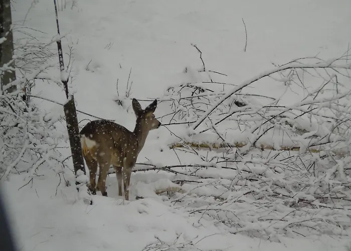 Апартаменты Villa-bajka
